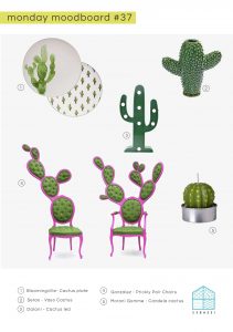 cactus monday moodboard 23bassi