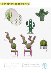 arredare con i cactus