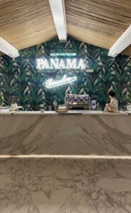 Panama by Borsalino