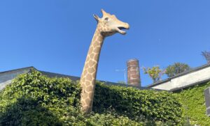 La giraffa al fuorisalone in Tortona