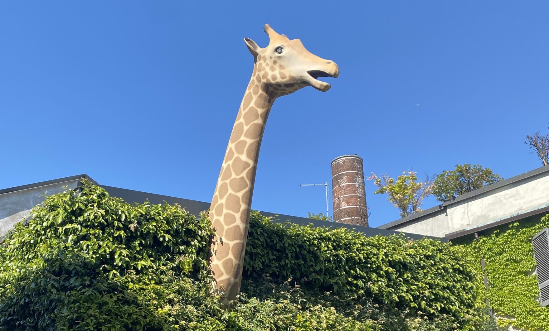 La giraffa al fuorisalone in Tortona