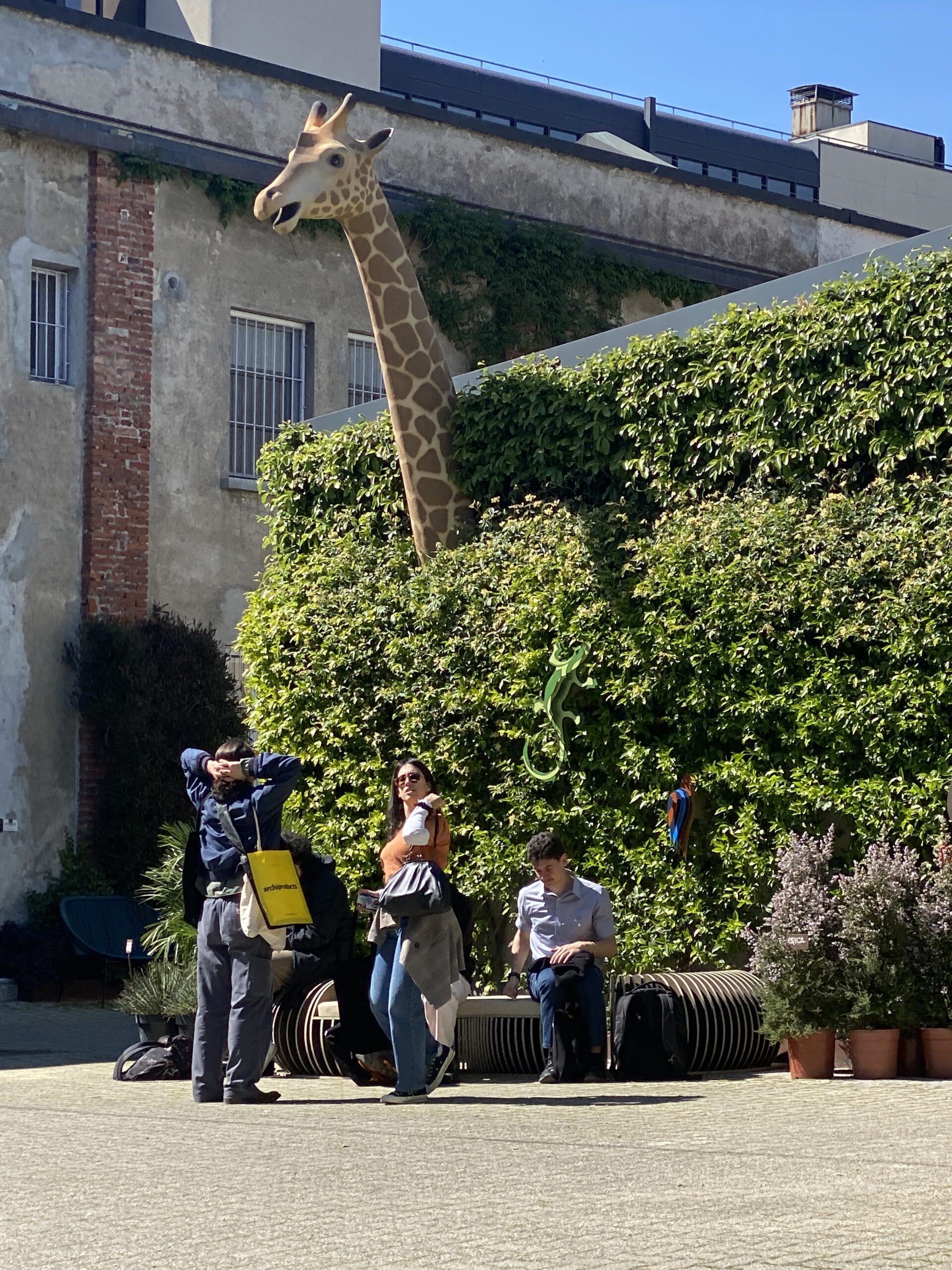 la giraffa di Tortona