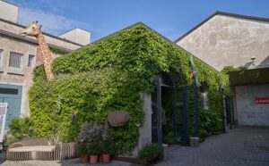 Discover the jungle Fundermax Fuorisalone 2023
