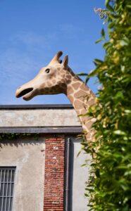 Discover the jungle Fundermax Fuorisalone 2023