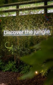 Discover the jungle Fundermax Fuorisalone 2023