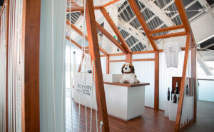Skyway temporary shop Pavillon